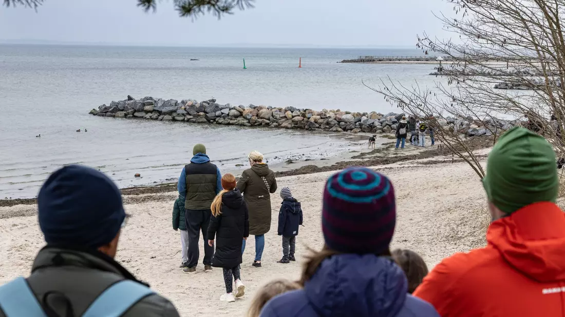 Das Schicksal des Buckelwals bewegt viele Menschen. - Bild: Ulrich Perrey/dpa