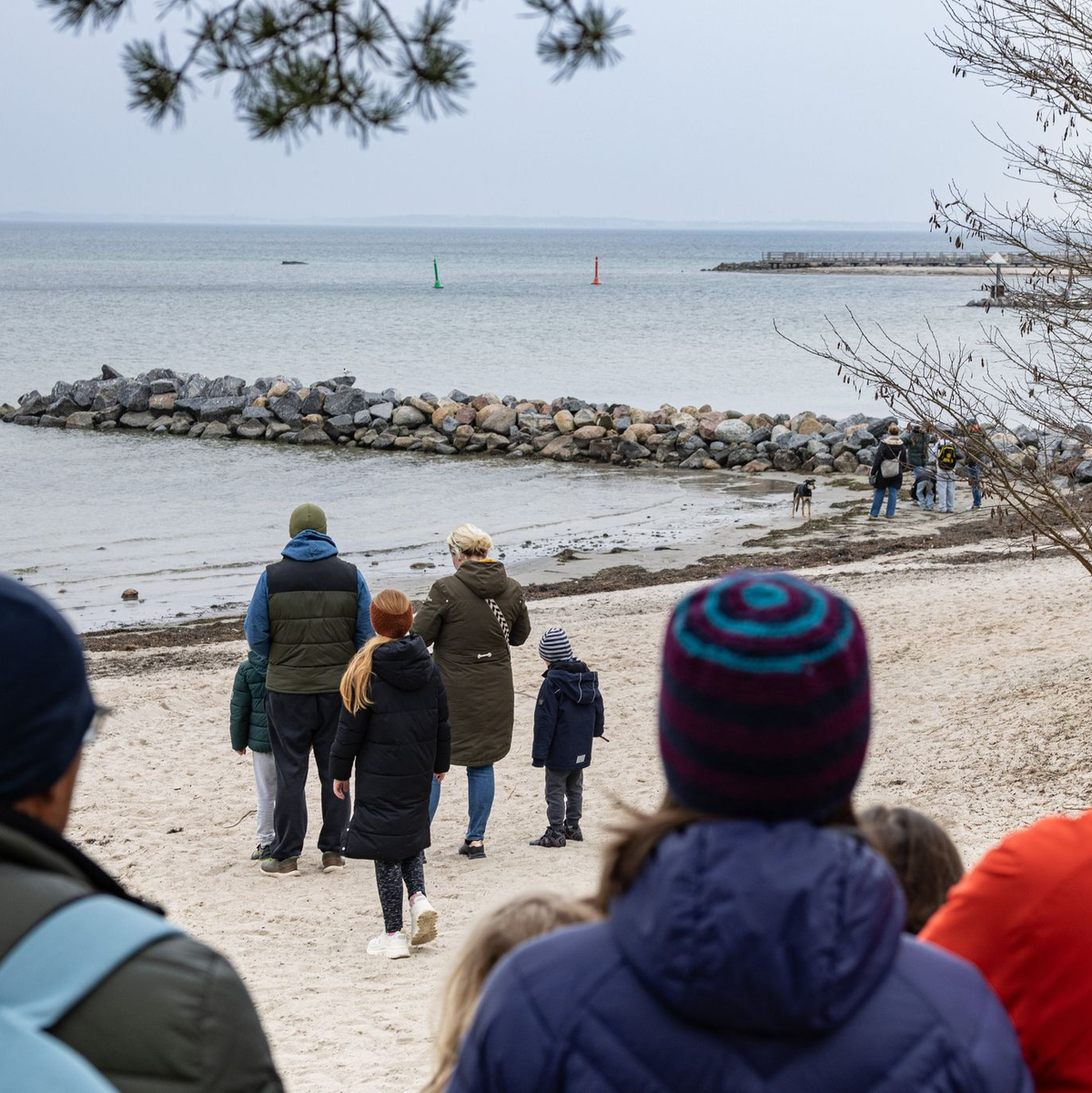 Das Schicksal des Buckelwals bewegt viele Menschen. - Foto: Ulrich Perrey/dpa