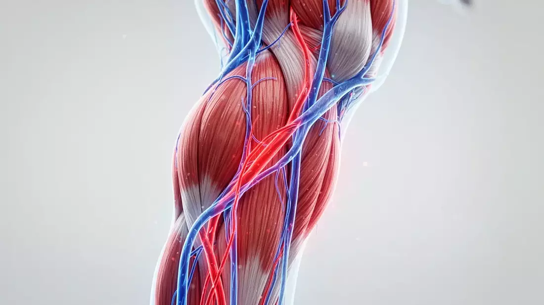 Neue Leitlinien: Bewegung schützt vor Thrombose - Bild: über boerse-global.de