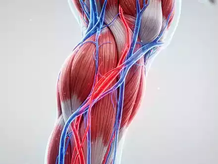 Neue Leitlinien: Bewegung schützt vor Thrombose - Foto: über boerse-global.de