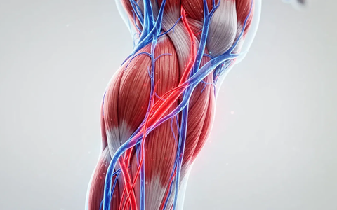 Neue Leitlinien: Bewegung schützt vor Thrombose - Foto: über boerse-global.de