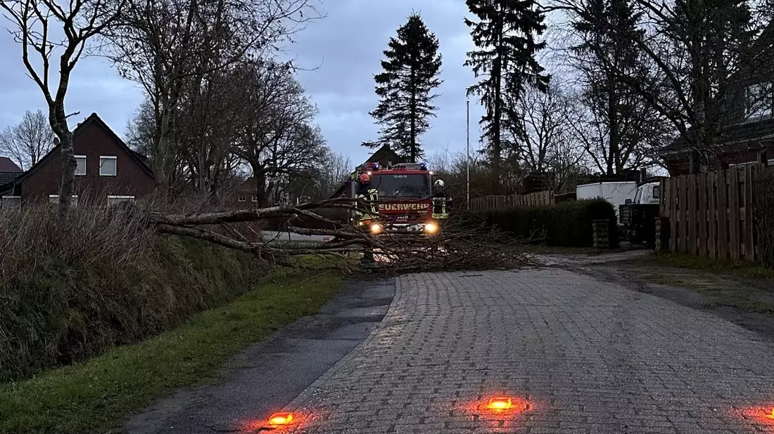 FW-AUR: Umgestürzter Baum blockiert Straße - Bild: presseportal.de