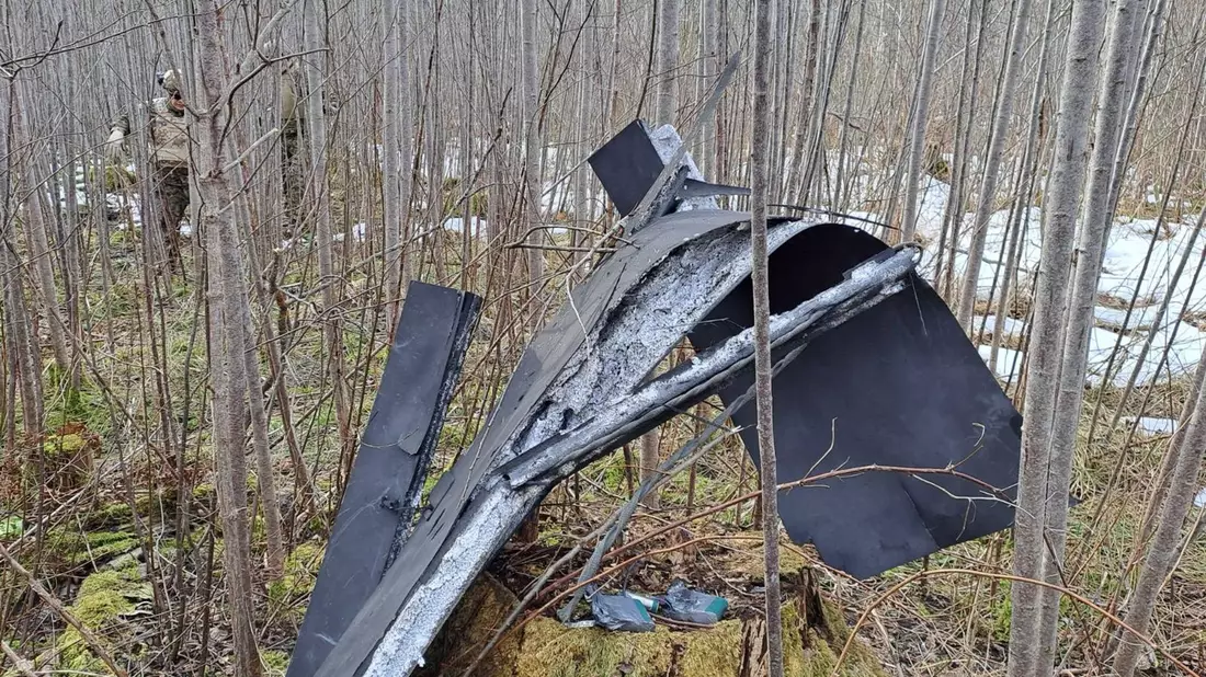 In Lettland wurden Teile einer Drohne gefunden, die mutmaßlich aus der Ukraine stammt. - Bild: -/National Armed Forces of Latvia/dpa