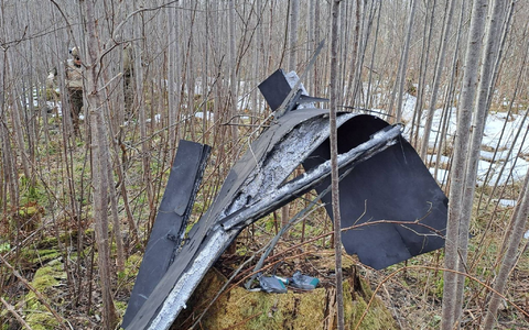 In Lettland wurden Teile einer Drohne gefunden, die mutmaßlich aus der Ukraine stammt. - Foto: -/National Armed Forces of Latvia/dpa