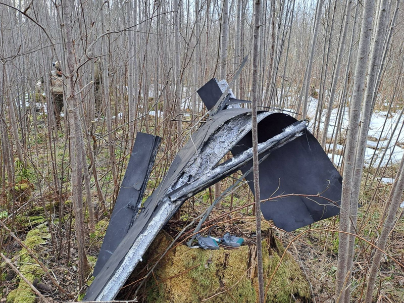 In Lettland wurden Teile einer Drohne gefunden, die mutmaßlich aus der Ukraine stammt. - Foto: -/National Armed Forces of Latvia/dpa