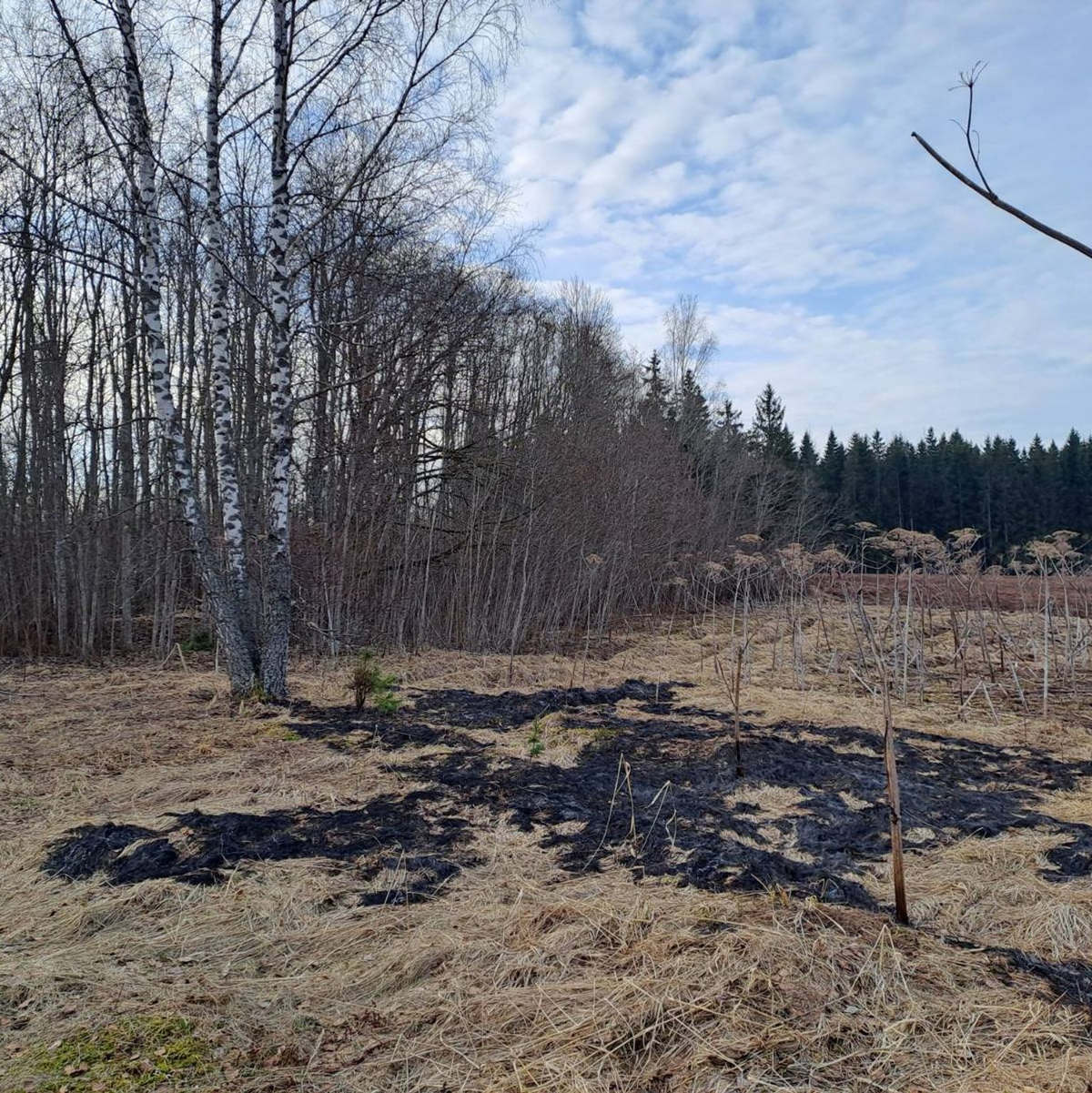 Der ukrainische Abwehrkampf gegen Russland zieht die baltischen Staaten in Mitleidenschaft. - Foto: -/National Armed Forces of Latvia/dpa