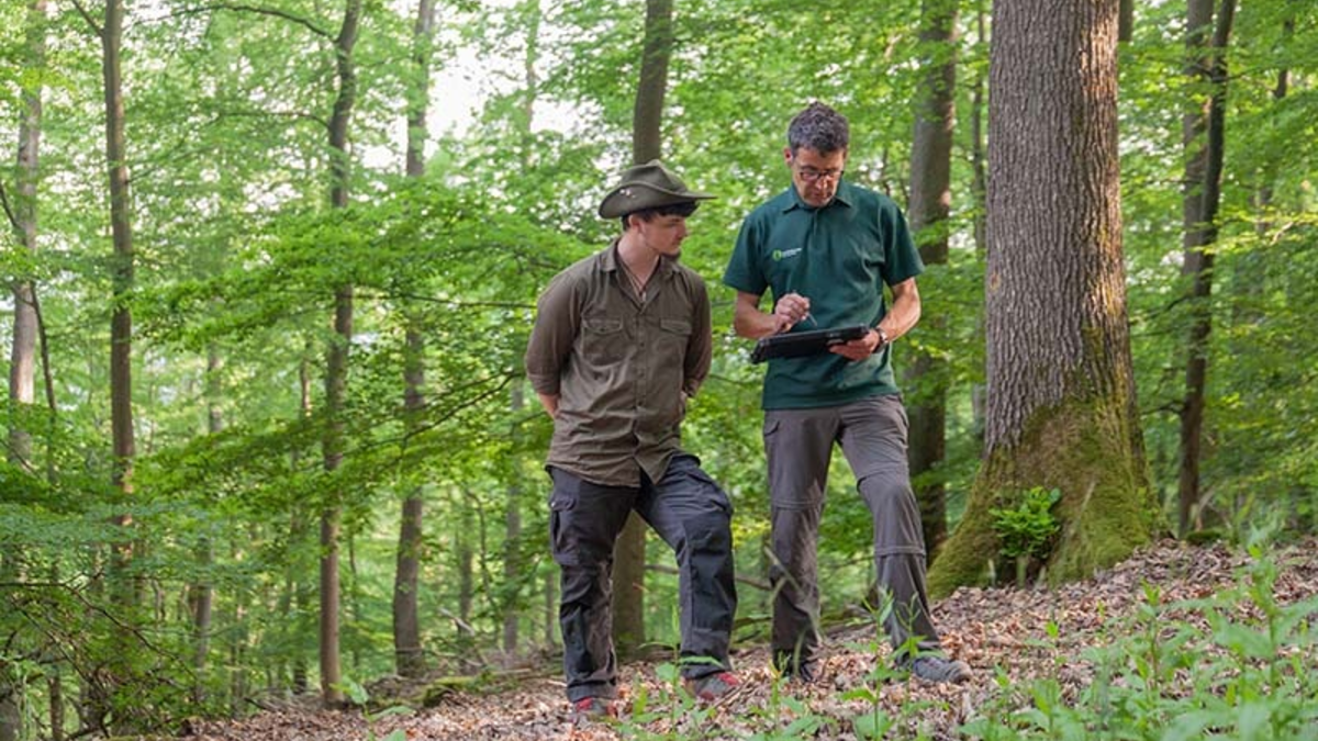 Neu: FSC Deutschland startet Wald-Bonus-Programm - Finanzielle Anreize sollen Erstzertifizierungen erleichtern - Foto: presseportal.de