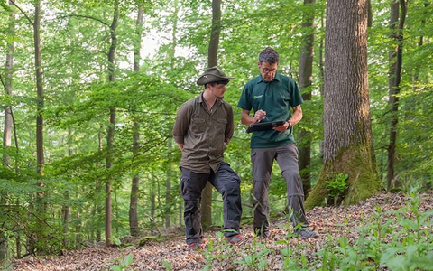 Neu: FSC Deutschland startet Wald-Bonus-Programm - Finanzielle Anreize sollen Erstzertifizierungen erleichtern - Foto: presseportal.de