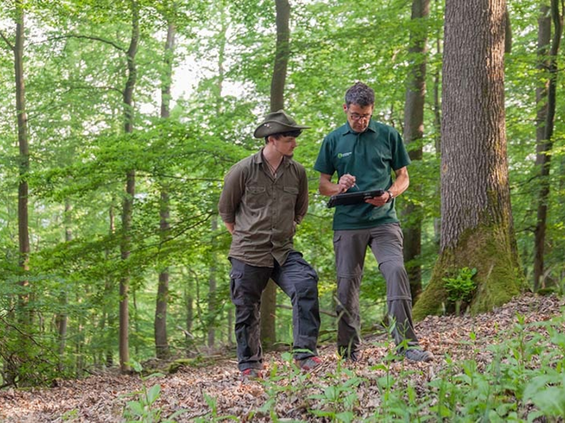 Neu: FSC Deutschland startet Wald-Bonus-Programm - Finanzielle Anreize sollen Erstzertifizierungen erleichtern - Foto: presseportal.de