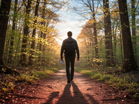 Natur-Resilienz-Training: Neue Waffe gegen Stress-Höchststand - Foto: über boerse-global.de