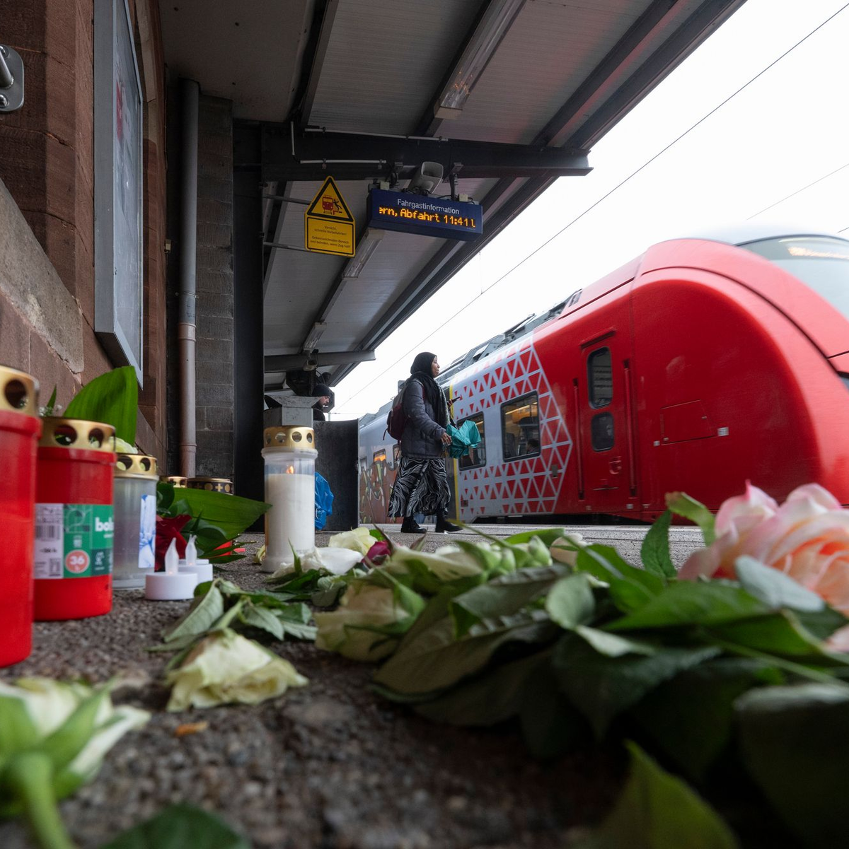 Anfang Februar war ein 36 Jahre alter Zugbegleiter bei einer Ticketkontrolle angegriffen und tödlich verletzt worden. (Archivbild) - Foto: Boris Roessler/dpa