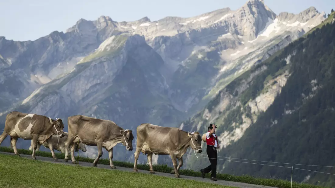 Die Schweiz pflegt ihr Heidiland-Image. (Archivbild)  - Bild: Gian Ehrenzeller/KEYSTONE/dpa