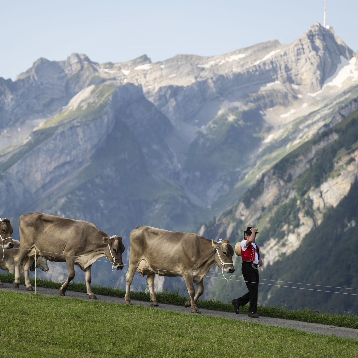 Die Schweiz pflegt ihr Heidiland-Image. (Archivbild)  - Foto: Gian Ehrenzeller/KEYSTONE/dpa