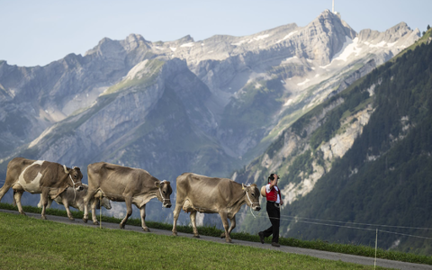 Die Schweiz pflegt ihr Heidiland-Image. (Archivbild)  - Foto: Gian Ehrenzeller/KEYSTONE/dpa