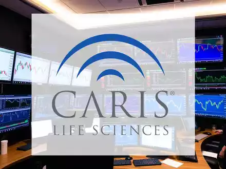 Carlson Investments Aktie: Liquidität gesichert - Foto: über boerse-global.de