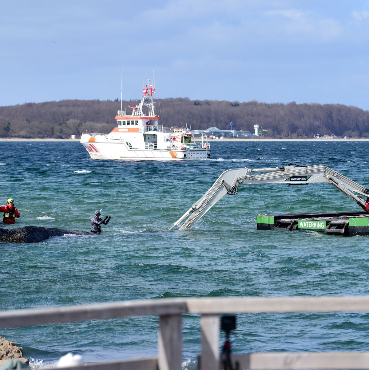 Der Schwimmbagger arbeitet direkt um den gestrandeten Wal herum.  - Foto: Daniel Bockwoldt/dpa