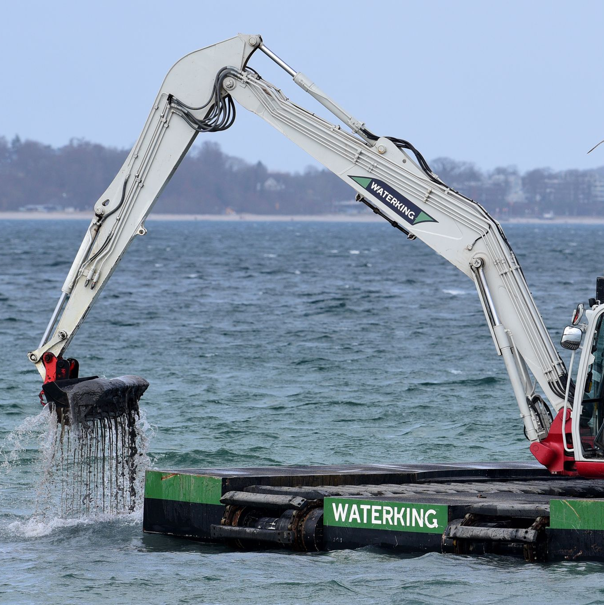 Der Bagger gräbt eine Rinne für den gestrandeten Wal. - Foto: Daniel Bockwoldt/dpa
