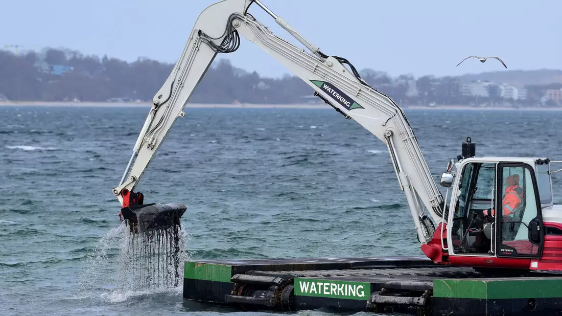 Der Bagger gräbt eine Rinne für den gestrandeten Wal. - Bild: Daniel Bockwoldt/dpa