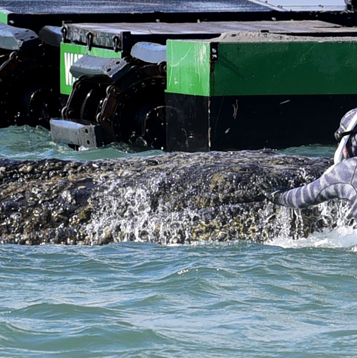 Lehmann dirigiert auch die Bagger, die als Teil der Rettungsversuche im Einsatz sind.  - Foto: Daniel Bockwoldt/dpa