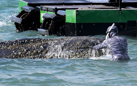 Lehmann dirigiert auch die Bagger, die als Teil der Rettungsversuche im Einsatz sind.  - Foto: Daniel Bockwoldt/dpa
