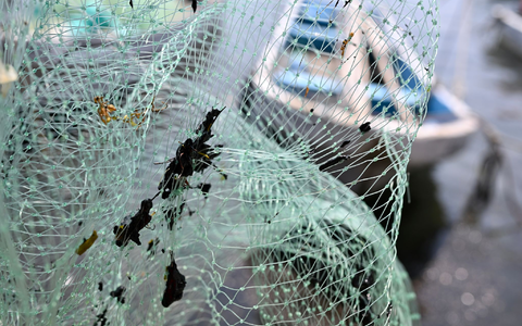 Erdölrückstände haben die Ausrüstung der Fischer verschmutzt, darunter Netze. - Foto: Yahir Ceballos/dpa Erdölrückstände haben die Ausrüstung der Fischer verschmutzt, darunter Netze. - Foto: Yahir Ceballos/dpa