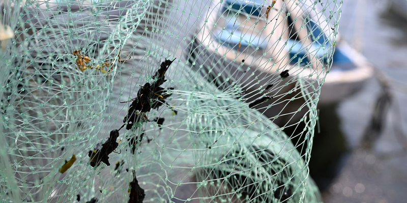 Erdölrückstände haben die Ausrüstung der Fischer verschmutzt, darunter Netze. - Foto: Yahir Ceballos/dpa