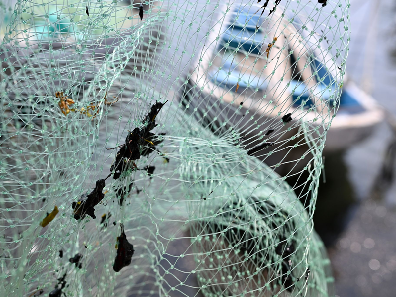 Erdölrückstände haben die Ausrüstung der Fischer verschmutzt, darunter Netze. - Foto: Yahir Ceballos/dpa