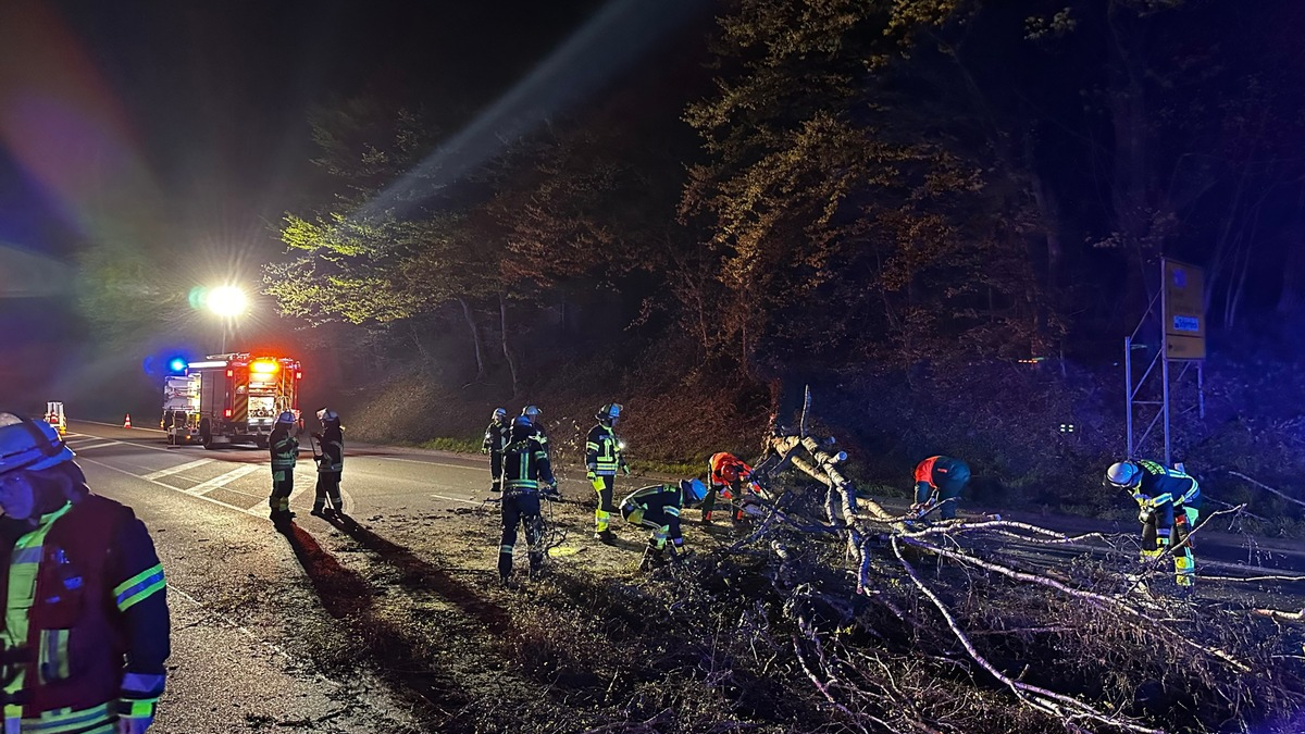 FW-Schermbeck: Nächtlicher Sturmschaden - Foto: presseportal.de