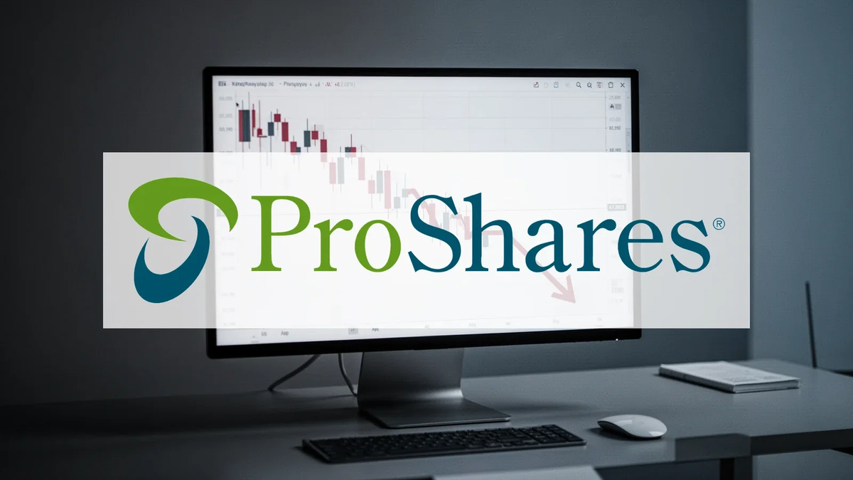 ProShares SAA ETF: Dividende sinkt - Foto: über boerse-global.de