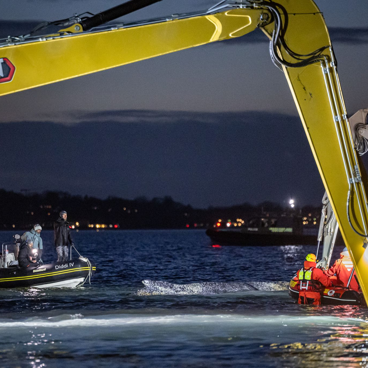 Noch bei Dunkelheit und in Scheinwerferlicht arbeiteten die Helfer an der Befreiung des Meeressäugers. - Foto: Ulrich Perrey/dpa