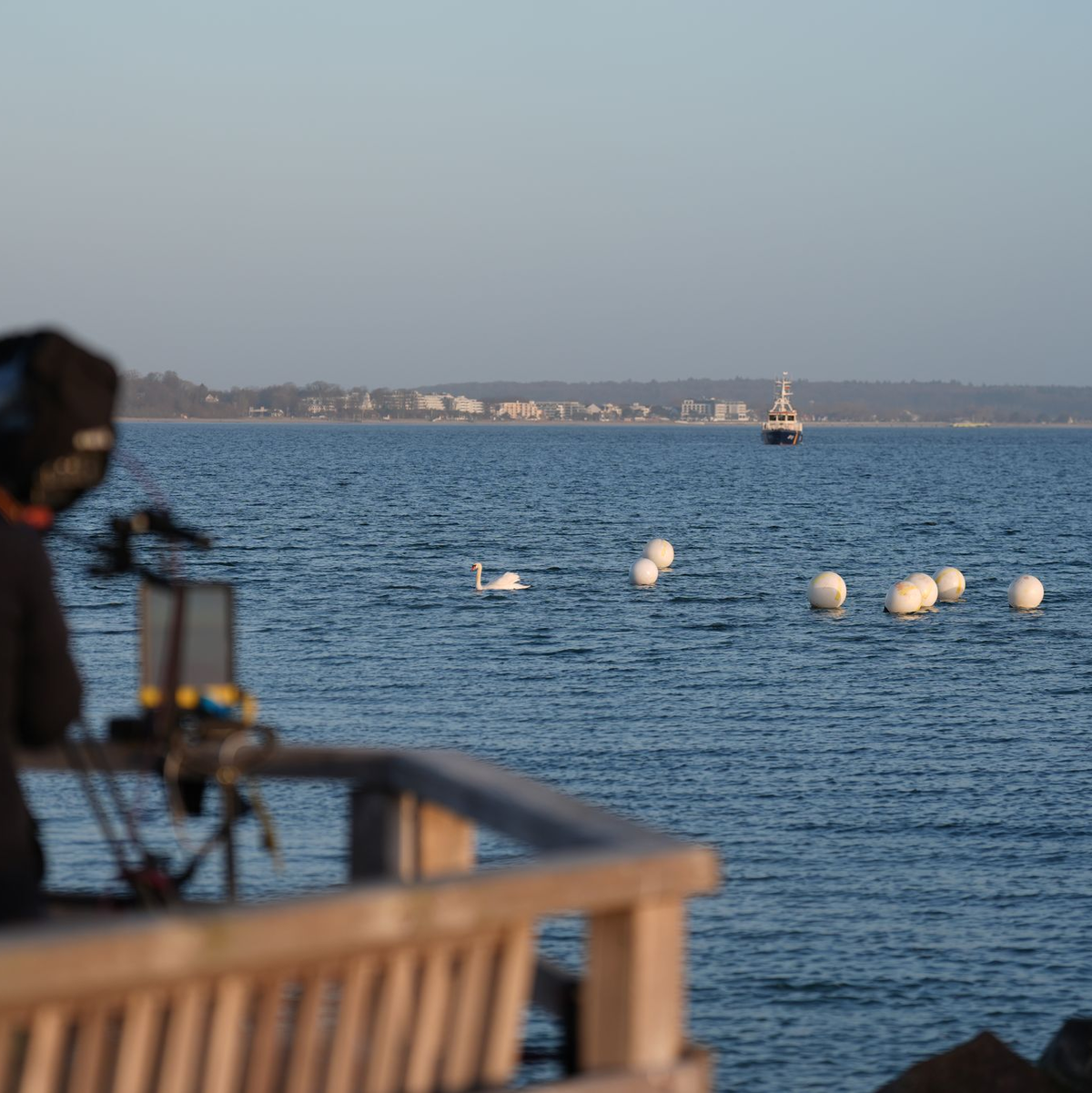Das Tier ist an der Ostseeküste vor Timmendorfer Strand nicht mehr zu sehen.  - Foto: Marcus Brandt/dpa