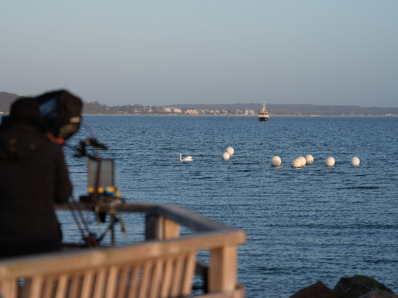 Das Tier ist an der Ostseeküste vor Timmendorfer Strand nicht mehr zu sehen.  - Foto: Marcus Brandt/dpa