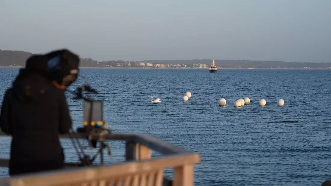 Das Tier ist an der Ostseeküste vor Timmendorfer Strand nicht mehr zu sehen.  - Bild: Marcus Brandt/dpa