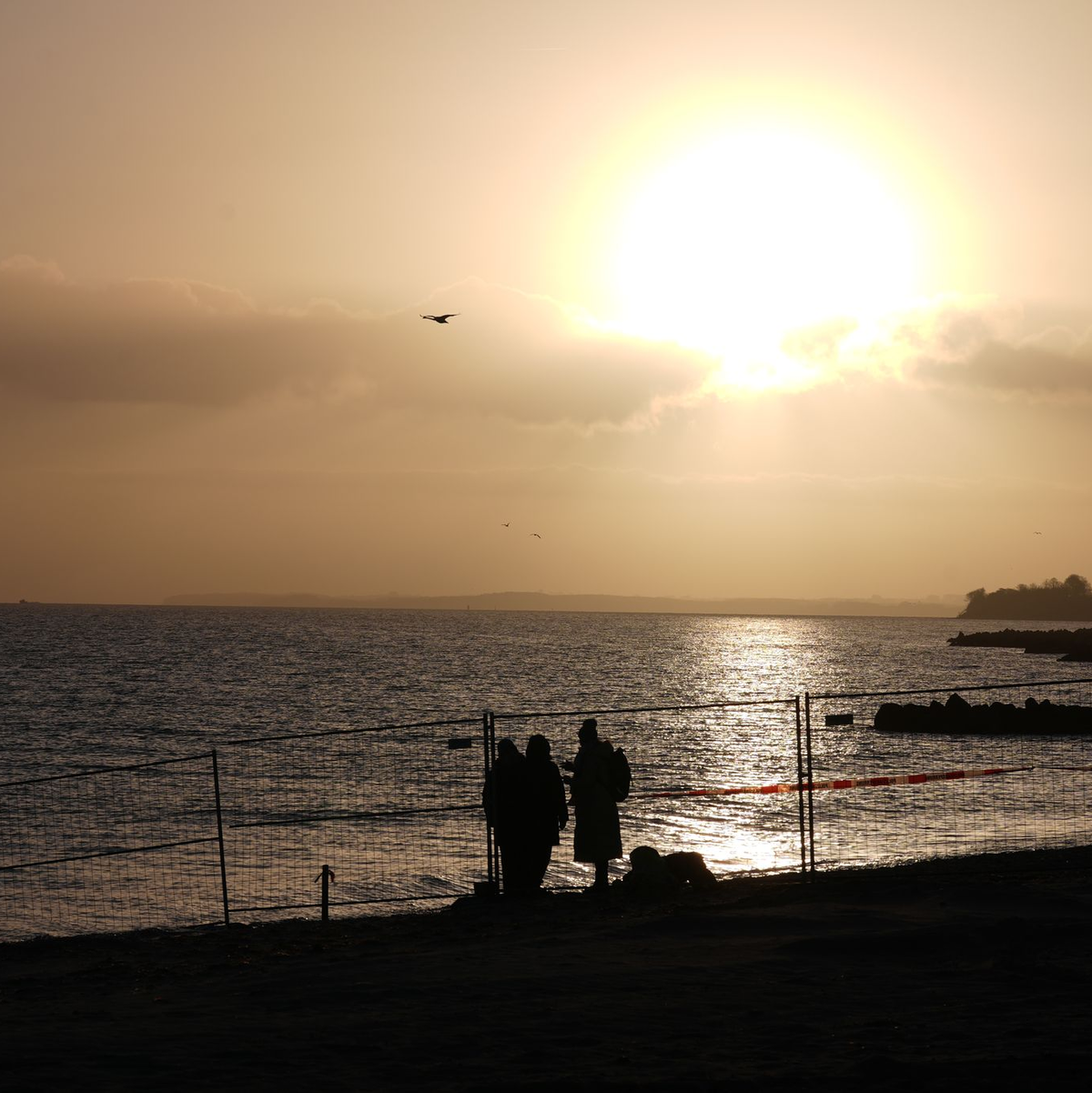 Die Sonne geht auf und der Wal ist an der Küste vor Timmendorfer Strand nirgends zu sehen. - Foto: Marcus Brandt/dpa