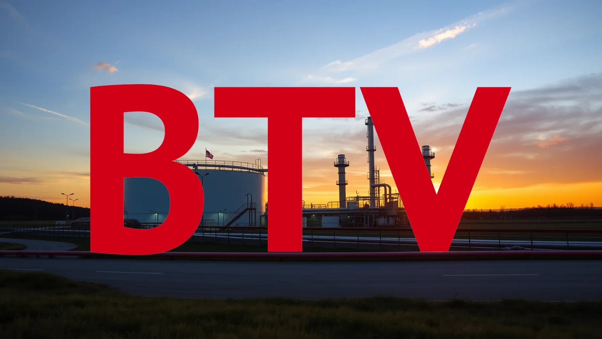 BTV Aktie: Dividende steigt trotz Gewinnminus - Foto: über boerse-global.de