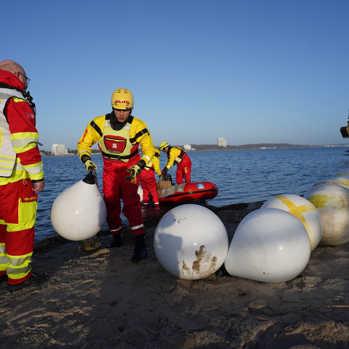 Experten versuchten tagelang das gestrandete Tier zu retten. - Foto: Marcus Brandt/dpa