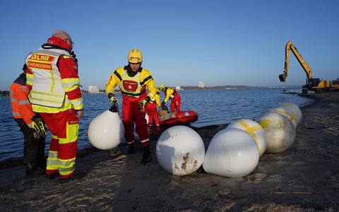 Experten versuchten tagelang das gestrandete Tier zu retten. - Foto: Marcus Brandt/dpa