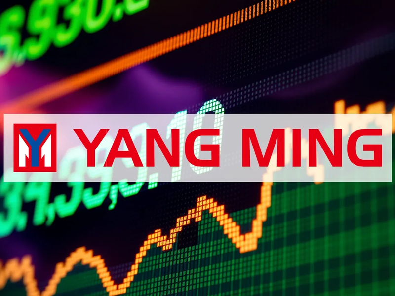 Yang Ming Aktie: Höhere Raten - Foto: über boerse-global.de