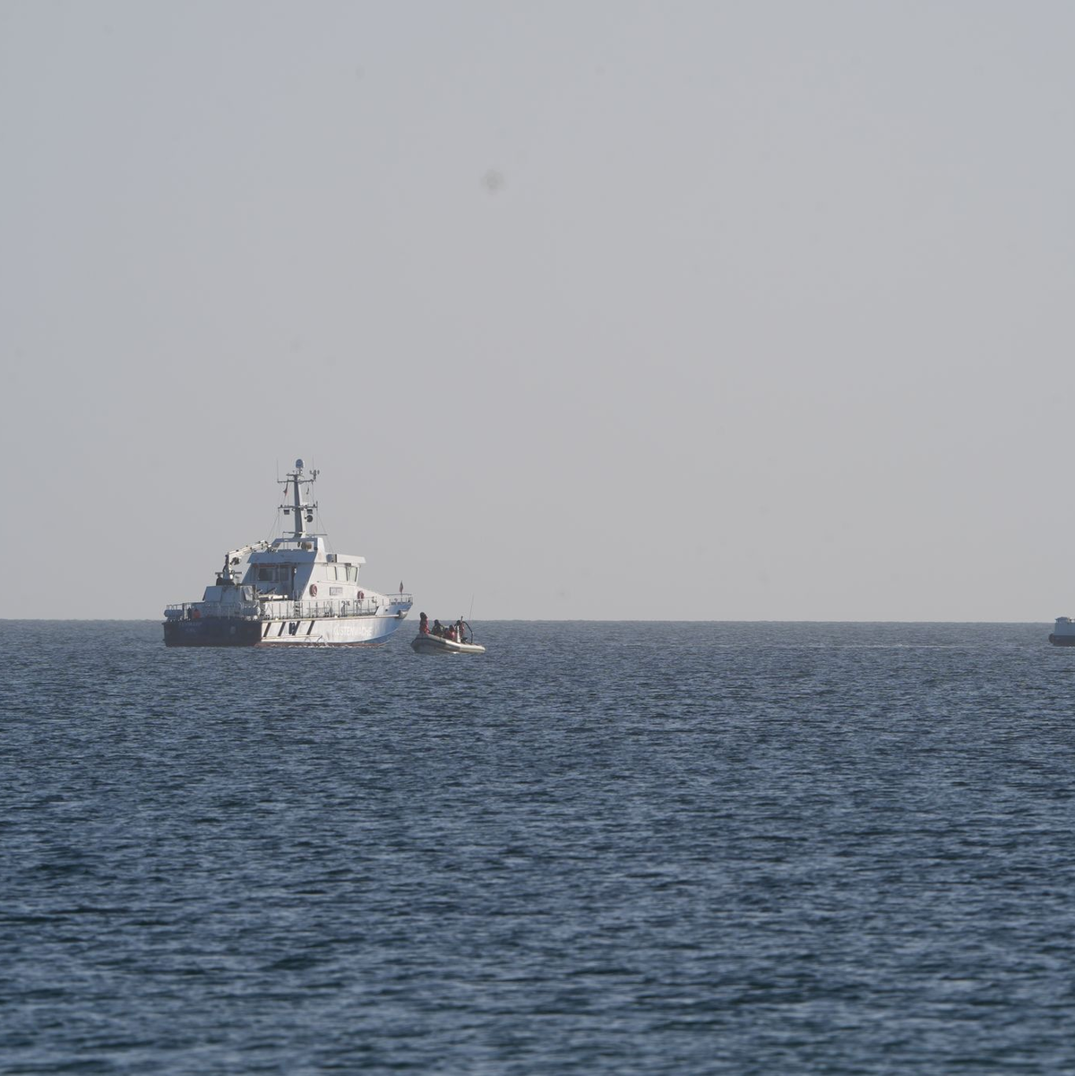 Der Buckelwal wird von mehreren Schiffen begleitet. - Foto: Marcus Brandt/dpa