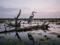Ecobit: Stillstand im Ökosystem - Foto: über boerse-global.de