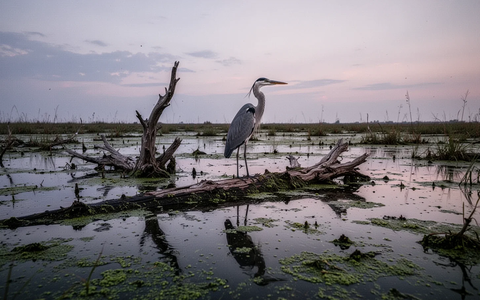 Ecobit: Stillstand im Ökosystem - Foto: über boerse-global.de