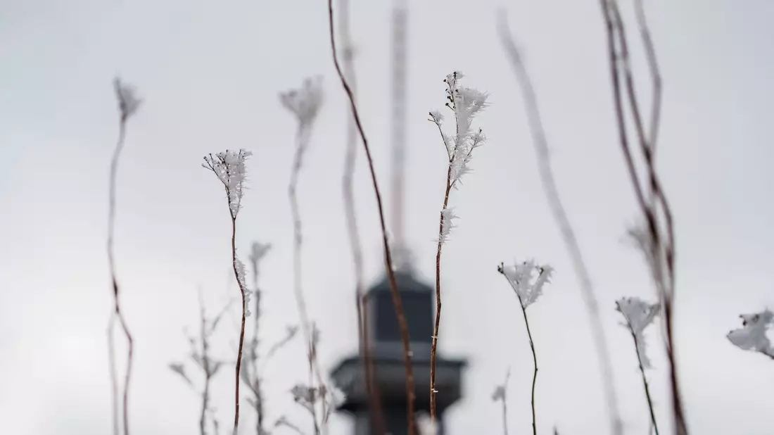 Das Wetter zum Wochenende wird wechselhaft. - Bild: Andreas Arnold/dpa