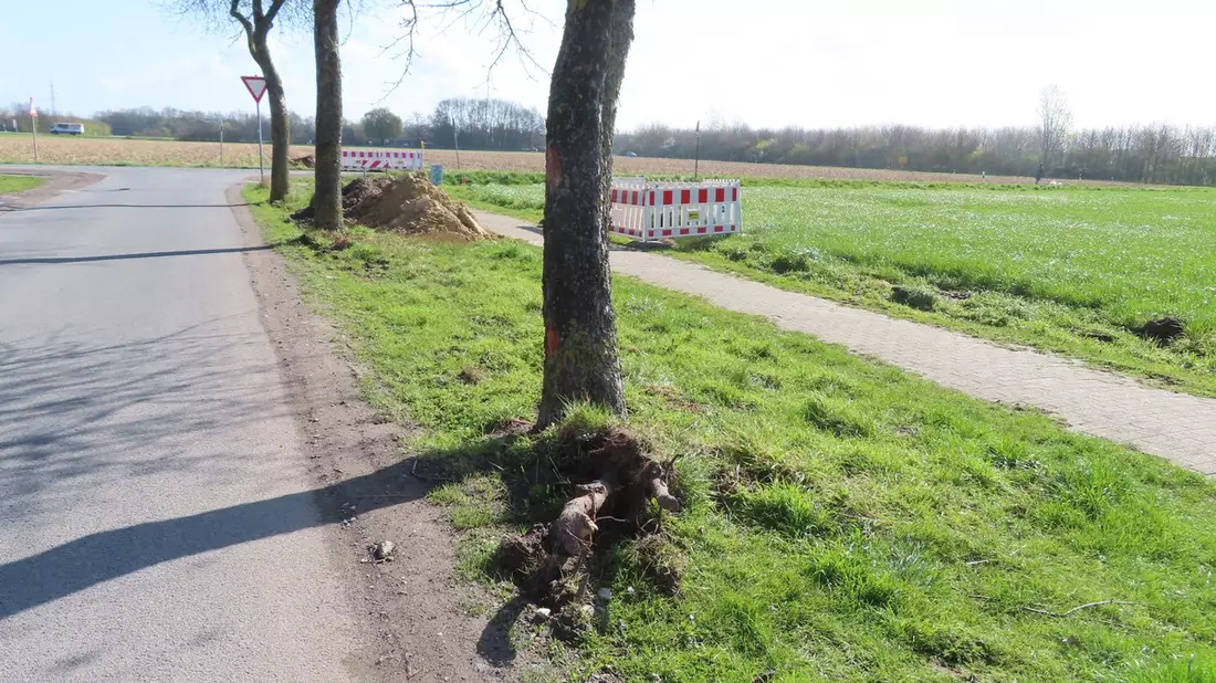 POL-COE: Ascheberg, Windmühlenweg/ Auto beschädigt Baum - Bild: presseportal.de