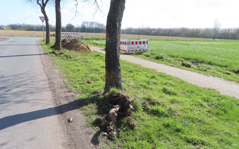 POL-COE: Ascheberg, Windmühlenweg/ Auto beschädigt Baum - Foto: presseportal.de