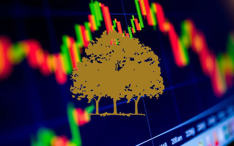 Canopy Growth Charts a Fresh Course Amid Leadership and Analyst Updates - Foto: über boerse-global.de