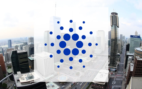 Cardano's Institutional Embrace Clashes with Retail Investor Pain - Foto: über boerse-global.de