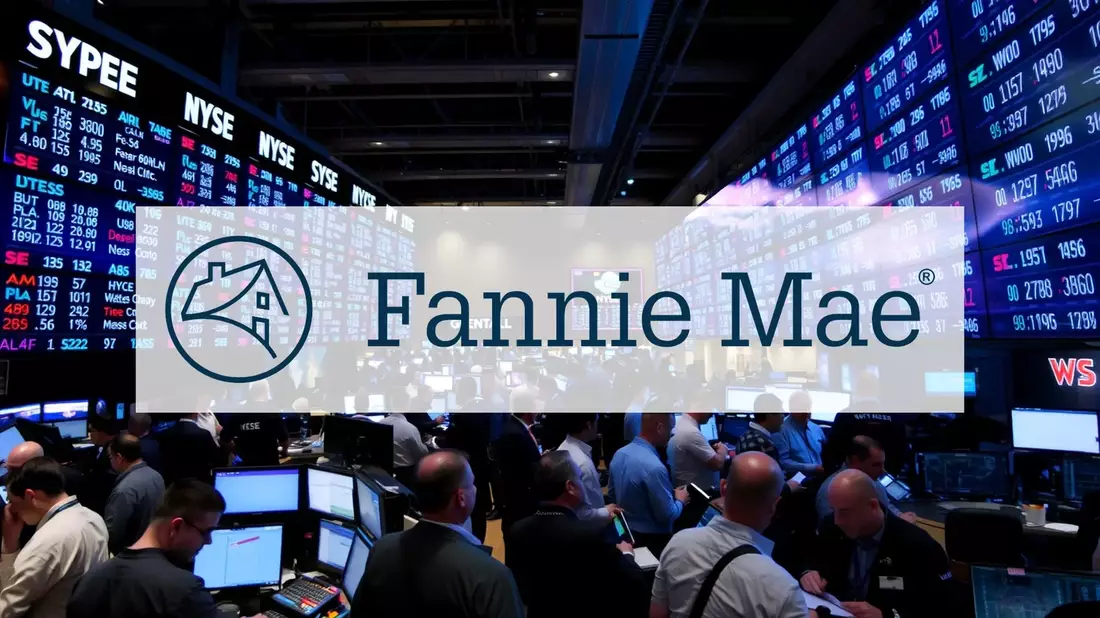 Fannie Mae's Latest Portfolio Snapshot: Delinquencies and Risk Management in Focus Illustration mit AI erstellt übermittelt durch boerse-global.de