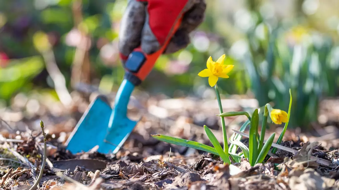 Jetzt ist Zeit für Gartenarbeit. (Symbolbild) - Bild: Lino Mirgeler/dpa