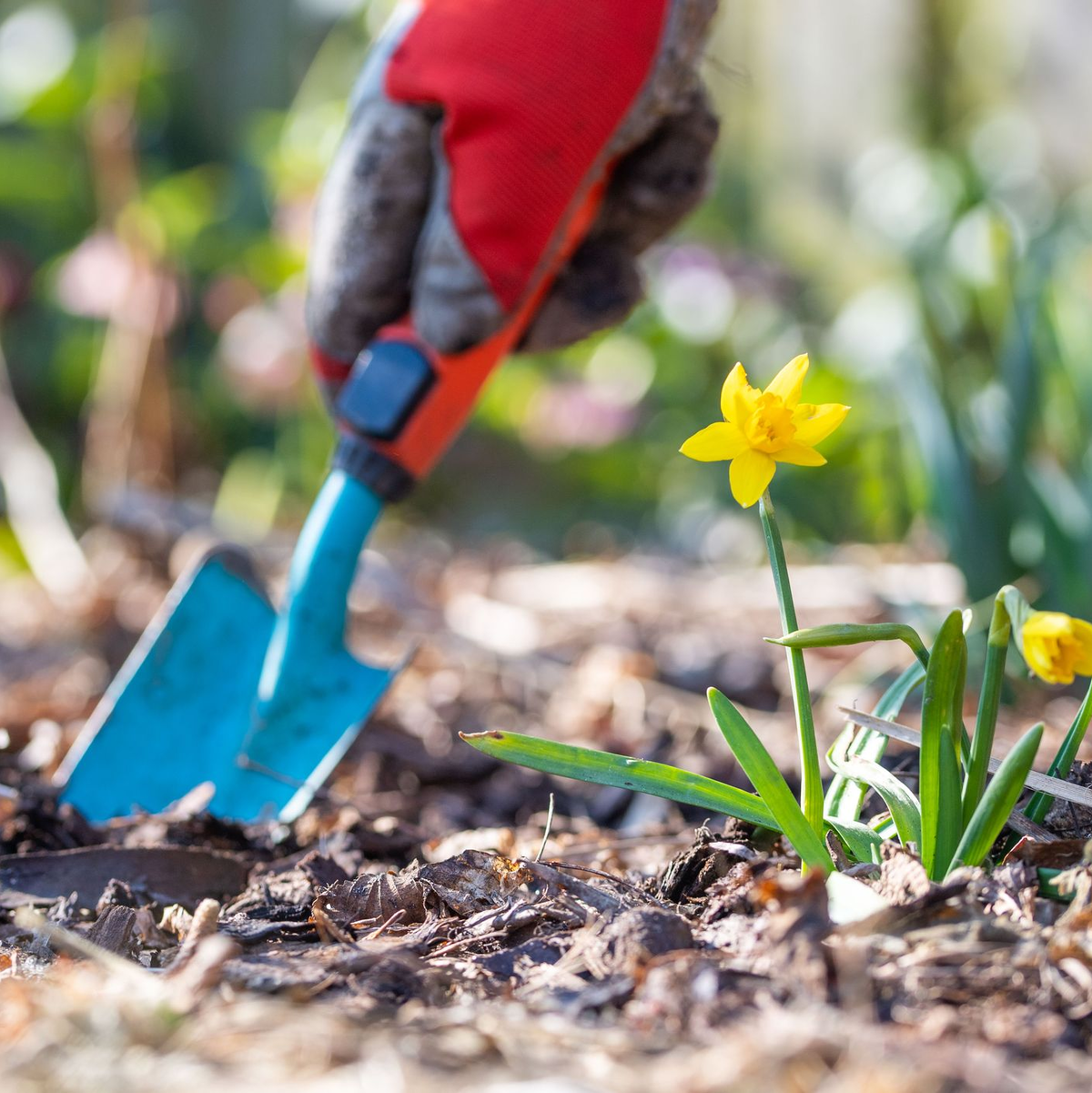 Jetzt ist Zeit für Gartenarbeit. (Symbolbild) - Foto: Lino Mirgeler/dpa