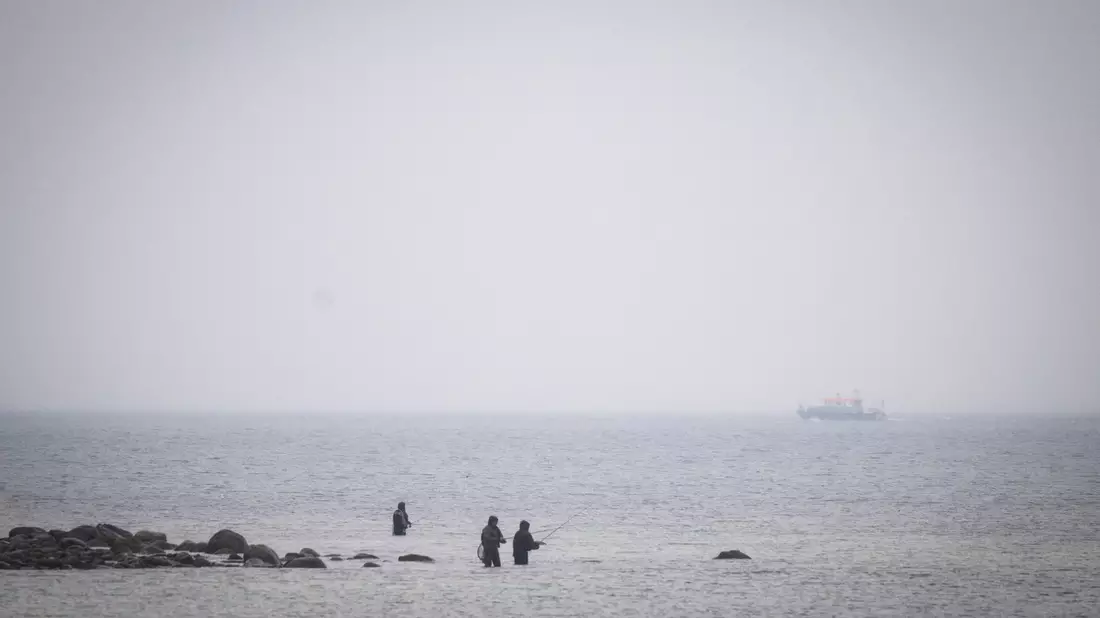 Das Boot «Uecker» von der Wasserschutzpolizei sucht den Wal an der Ostseeküste.  - Bild: Philip Dulian/dpa